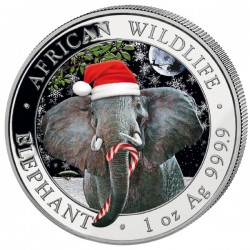 ONZA SOMALIA 2021 ELEFANTE